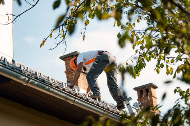 Quick and Trustworthy Emergency Roof Repair Services in South Lyon, MI