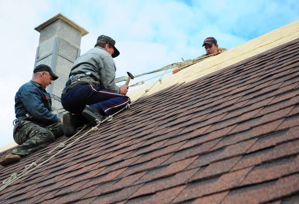 Best New Roof Installation  in South Lyon, MI